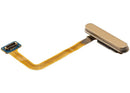 Sensor de huella dactilar dorado para Samsung Galaxy Z Fold 5 (F946), con cable flex de reemplazo.