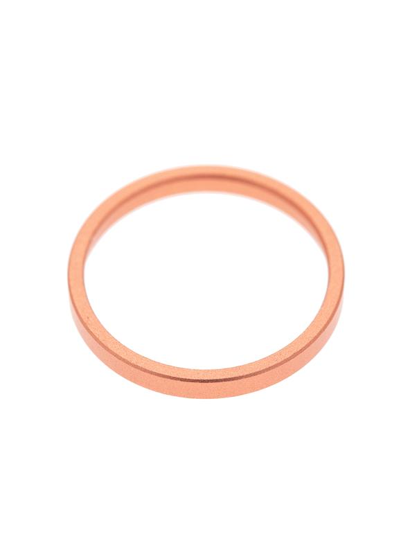 Anillo del bisel de la camara trasera para iPhone XR (Coral) (Paquete de 10)