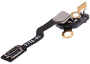 Encuentra el cable flex conector GPS para reparación de Watch Series 6 (40MM) en Guatemala.