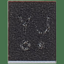 Reparación de IC de suministro de potencia para huella digital en iPhone 7 y 7 Plus en Guatemala.