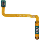 Flex cable de huella dactilar Samsung Galaxy A24 4G (A245) rojo oscuro, para reparación de pantalla.