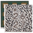 Filtro IC de amplificador de potencia para iPhone 15 Series (26)