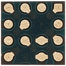 Compass IC iPhone 12 Series / 13 Series