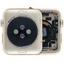 Caja Apple Watch Series 1 (42MM) (Cellular Version) (Aluminum / Gold)