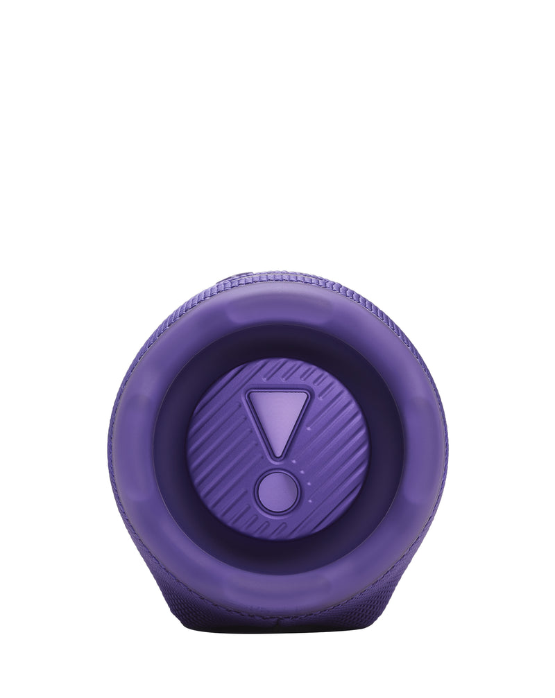 Altavoz portatil bluetooth JBL Charge 6 (PURPLE)