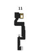Reparación de cable flex JC ID V1S Face ID Dot Matrix para iPhone 11 en Guatemala.