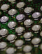 Encuentra el microscopio monocular 3D industrial MECHANIC MEC-MV676T con pantalla LCD de 21.5 pulgadas en Guatemala.
