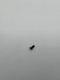 Honor Small Metal Parts,Dkba89001830.Prt,M1.4X3.0X2.5X0.5-Nonmagnetic-Color Negro(Cross Recess),Honor Publ Public Original