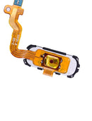 Cable Flex de Boton de Inicio para Samsung Galaxy S7 (Blanco)