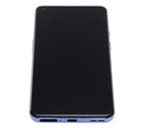 Pantalla OLED para OnePlus 9 con marco (Versión Internacional) (Restaurado) (Winter Mist)