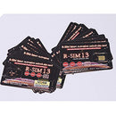 RSIM 13