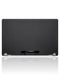 Pantalla completa LCD para MacBook Pro 16" (A2141 / Mediados de 2019) (Original usada: Grado B) (Plata)