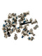 Juego completo de tornillos para iPhone 12 Mini