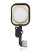Boton de inicio con flex para iPhone 6S / 6S Plus (Oro)