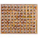 IC Tigris de carga para iPhone SE (2022)
