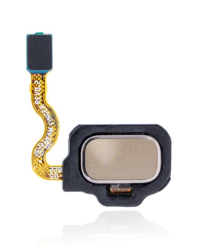 Lector de huellas con cable flexible para Samsung Galaxy S8 / S8 Plus (Oro Champion)