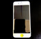 Glass iPhone 6 Blanco
