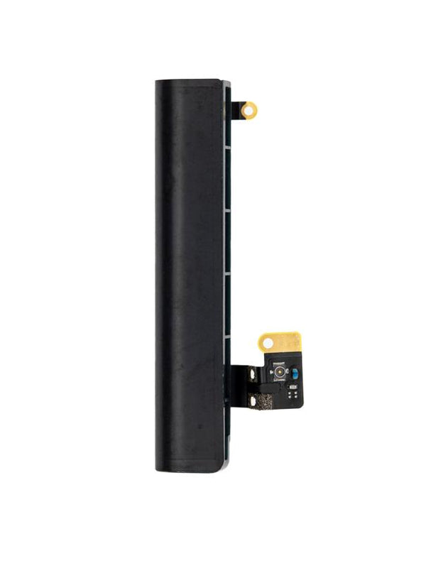 Cable de antena celular para iPad 6 (2018) (Derecho)