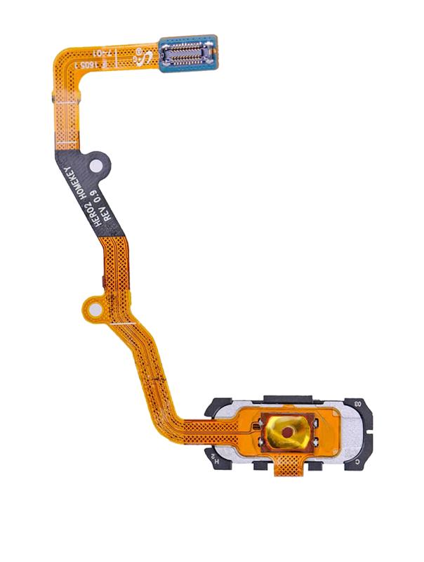 Cable Flex de Boton de Inicio para Samsung Galaxy S7 Edge (Dorado)