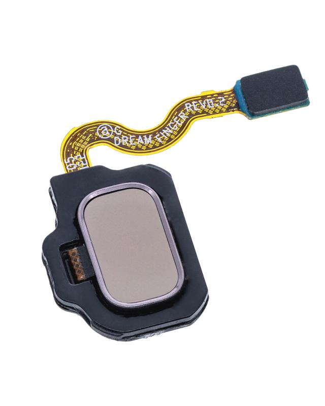 Lector de huellas con cable flexible para Samsung Galaxy S8 / S8 Plus (Oro Champion)
