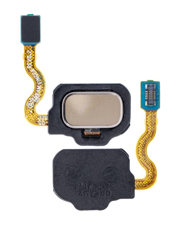 Lector de huellas con cable flexible para Samsung Galaxy S8 / S8 Plus (Oro Champion)