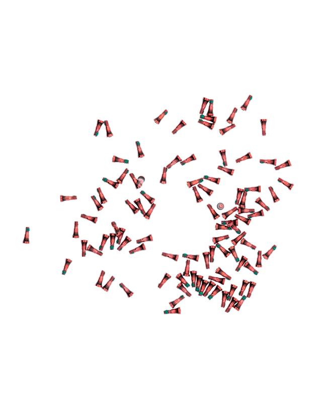 Tornillos inferiores para iPhone 7 / 7 Plus (Rojo / Oro Rosa) (Paquete de 100)