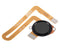 Lector de huellas con cable flex para Motorola Moto G8 Power (Negro Humo)