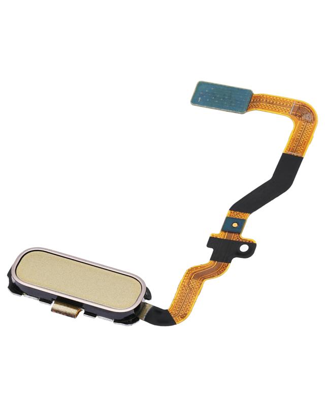 Boton de inicio con flex para Samsung Galaxy S7 (Oro Platino)